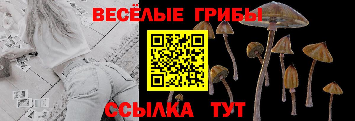 Нефтекумск  Галлюциногенные грибы Cubensis  Вход с VPN 